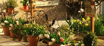 La clé des jardins