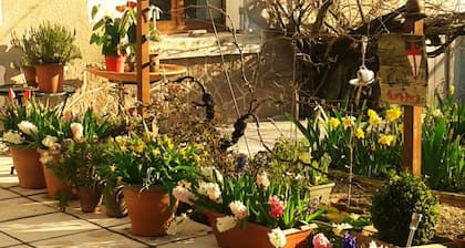 La clé des jardins
