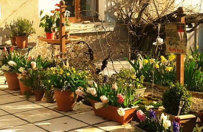 La clé des jardins
