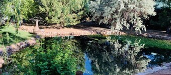 Beautiful Bear Pond Cabin WiFi, Dish Satellite, horseback riding