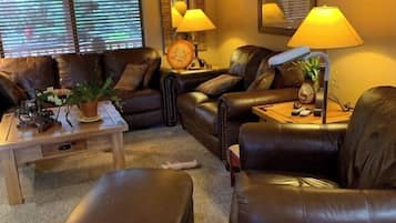 Una televisión, una chimenea, un reproductor de DVD