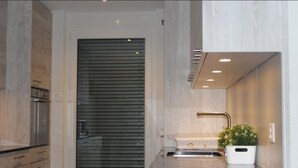 A modern kitchen with a stainless steel sink, a built-in oven, and a potted plant on the countertop. - Euro Apartment (Interlaken)