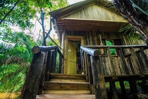 Premium bedding, individually decorated, individually furnished, desk