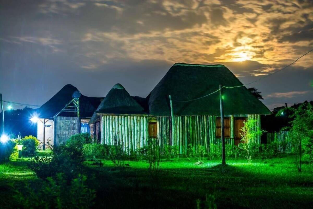A rural setting with traditional thatched-roof huts, surrounded by greenery and illuminated by artificial lighting.