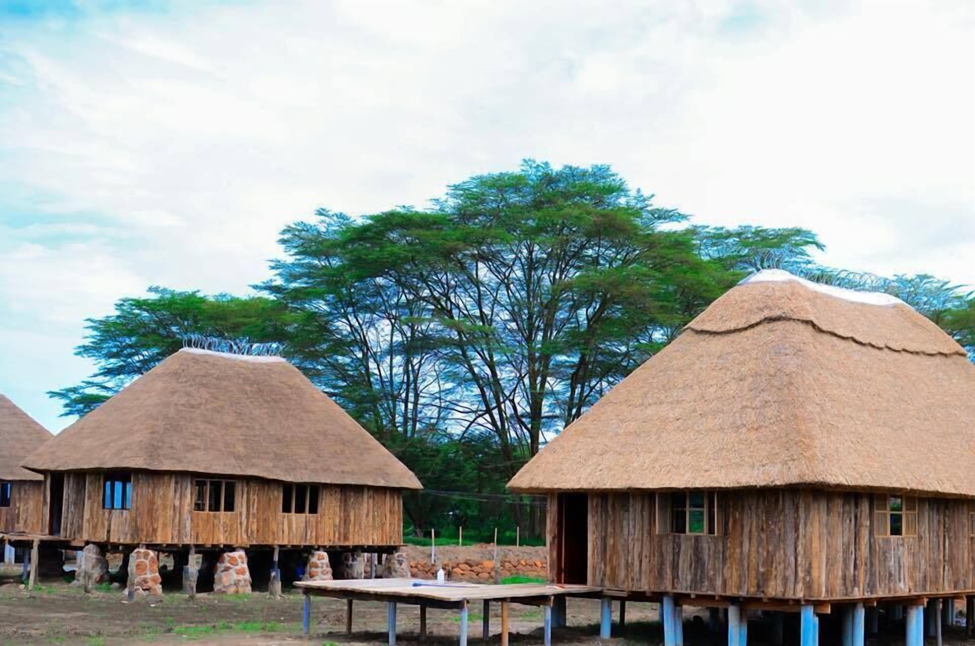 Premium bedding, individually decorated, individually furnished, desk