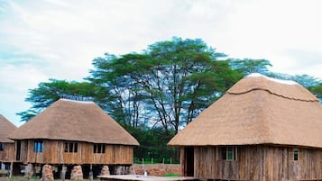 Premium bedding, individually decorated, individually furnished, desk