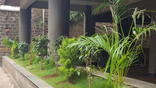 A covered outdoor area with a concrete planter bed, various shrubs, and a palm tree. - Hotel Bhagwati Lodging (Kolhapur)