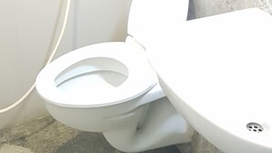 A bathroom with a toilet, a sink, and a shower. - Hotel Bhagwati Lodging (Kolhapur)