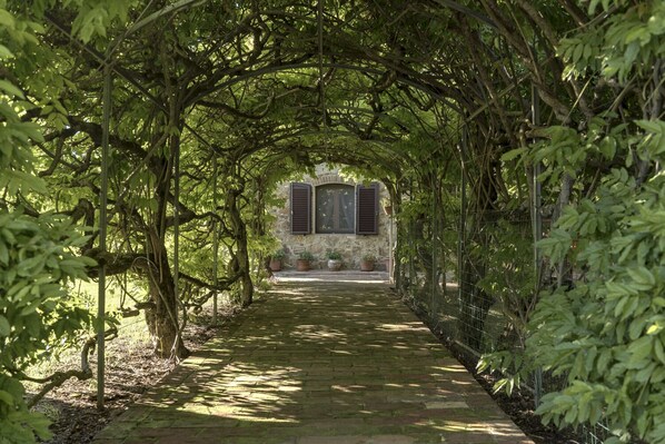 Terrain de l’hébergement 