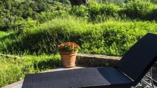 A lounge chair and a potted plant on a patio with a view of a tree and hills.
