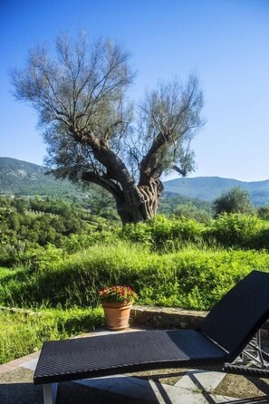 Solterrasse