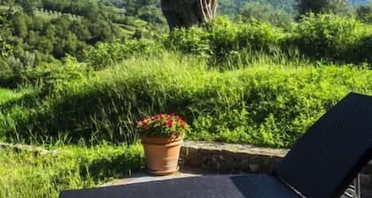 Agriturismo Murikè