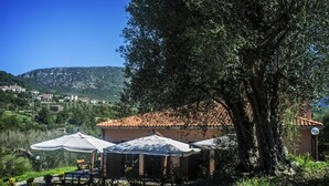 A villa with outdoor seating, a large tree, and a view of a hillside village.
