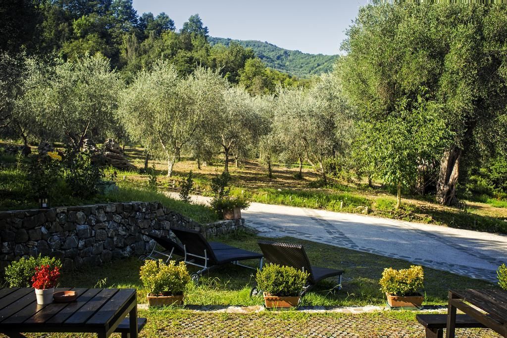 An outdoor seating area with tables and chairs, surrounded by olive trees and a stone wall.