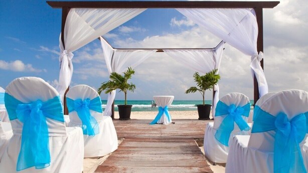 A wooden pier leading to a beach wedding setup with white chairs and blue sashes, and two potted palm trees.