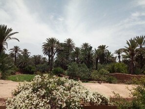 Utsikt från boendet