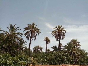 Utsikt från boendet