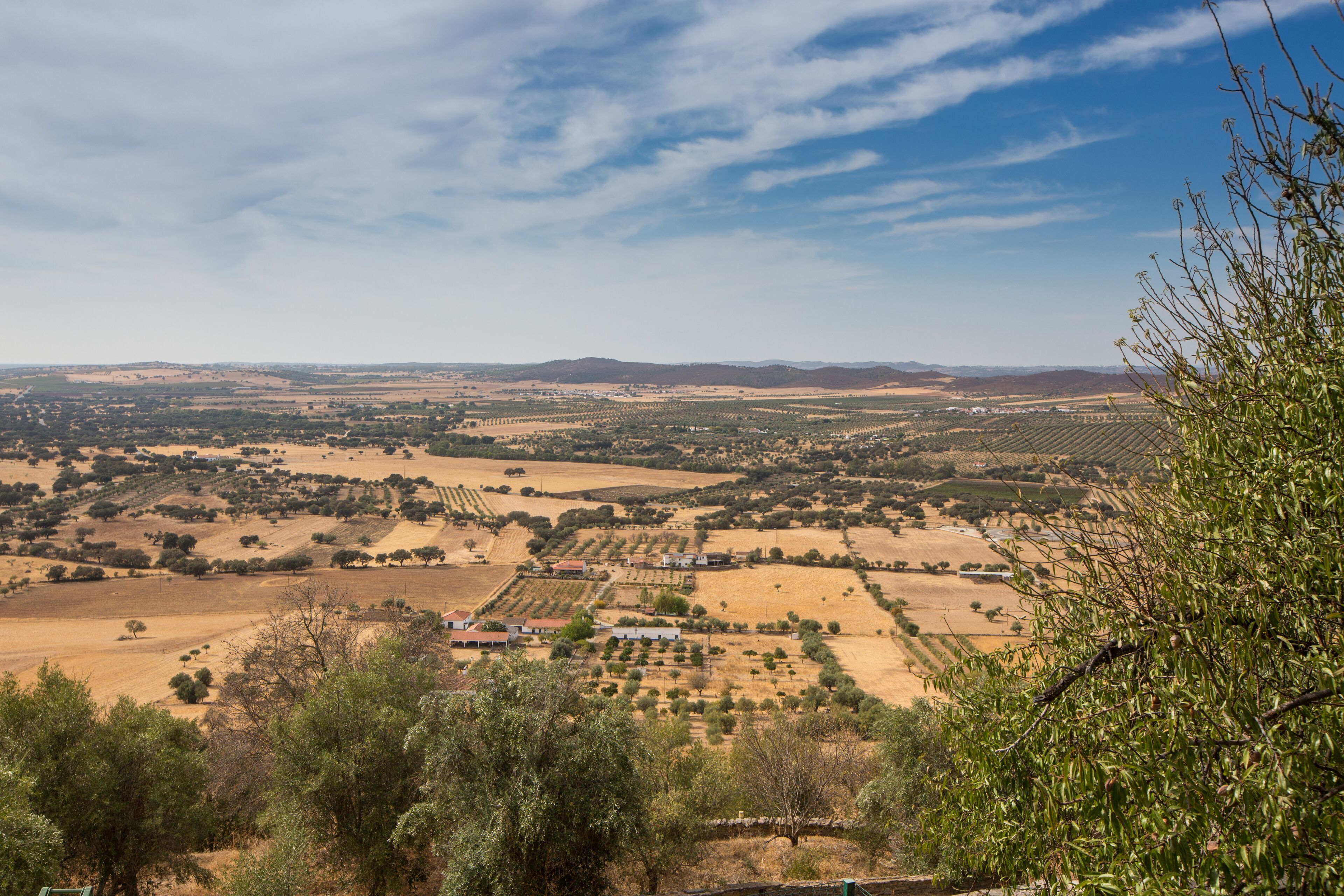 classic room | mountain view