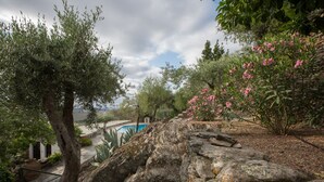 A garden with a pool, olive trees, and pink flowering plants.