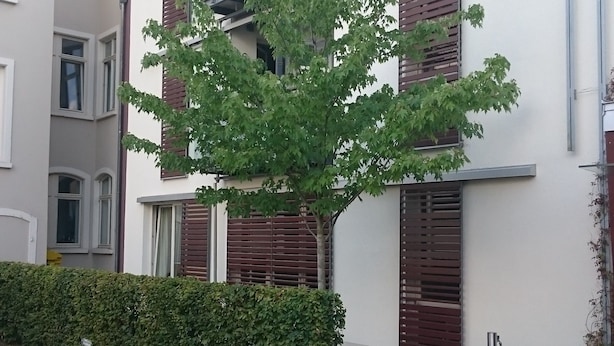Front of property - Ferienapartments Bergheim36 (Heidelberg)