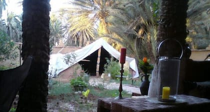Camping Auberge Aain Nakhla