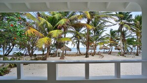 Une vue sur la plage depuis un espace abrité, agrémenté de palmiers et bordé d’une plage de sable.