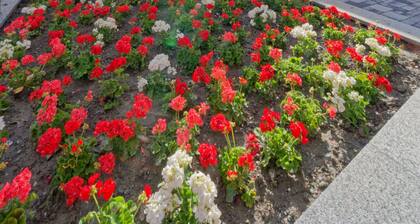 Naco Aparthotel by Arca Spa