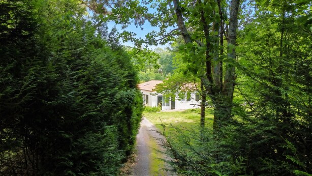 A pathway leading to a white building with a red roof, surrounded by dense green foliage.