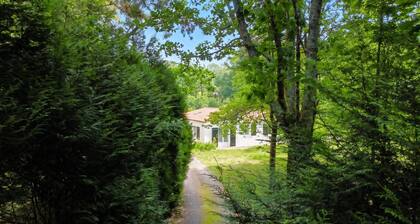 Homerez - House in Venansault