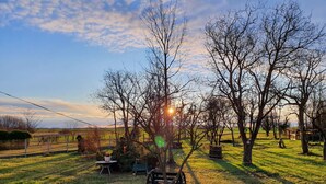 A rural landscape with a grassy field, trees, and a wooden structure.