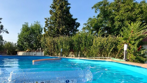 A swimming pool with clear blue water, surrounded by lush green trees and a fence.