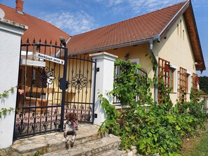 Esterni