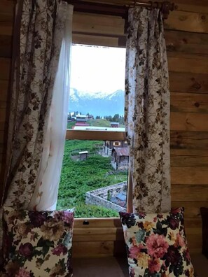 View from room