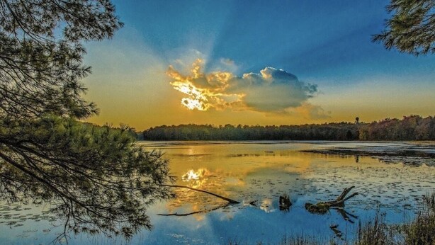 صورة غير مصنفة، 1 من 34، زرّ