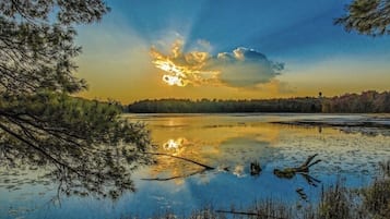 Un lac paisible, dont les eaux reflètent les couleurs du coucher de soleil, et sur les rives duquel se dressent des arbres.
