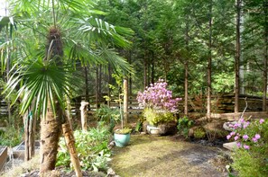 Property grounds - Magnolia Petal & Arbutus Blossom (Salt Spring Island)