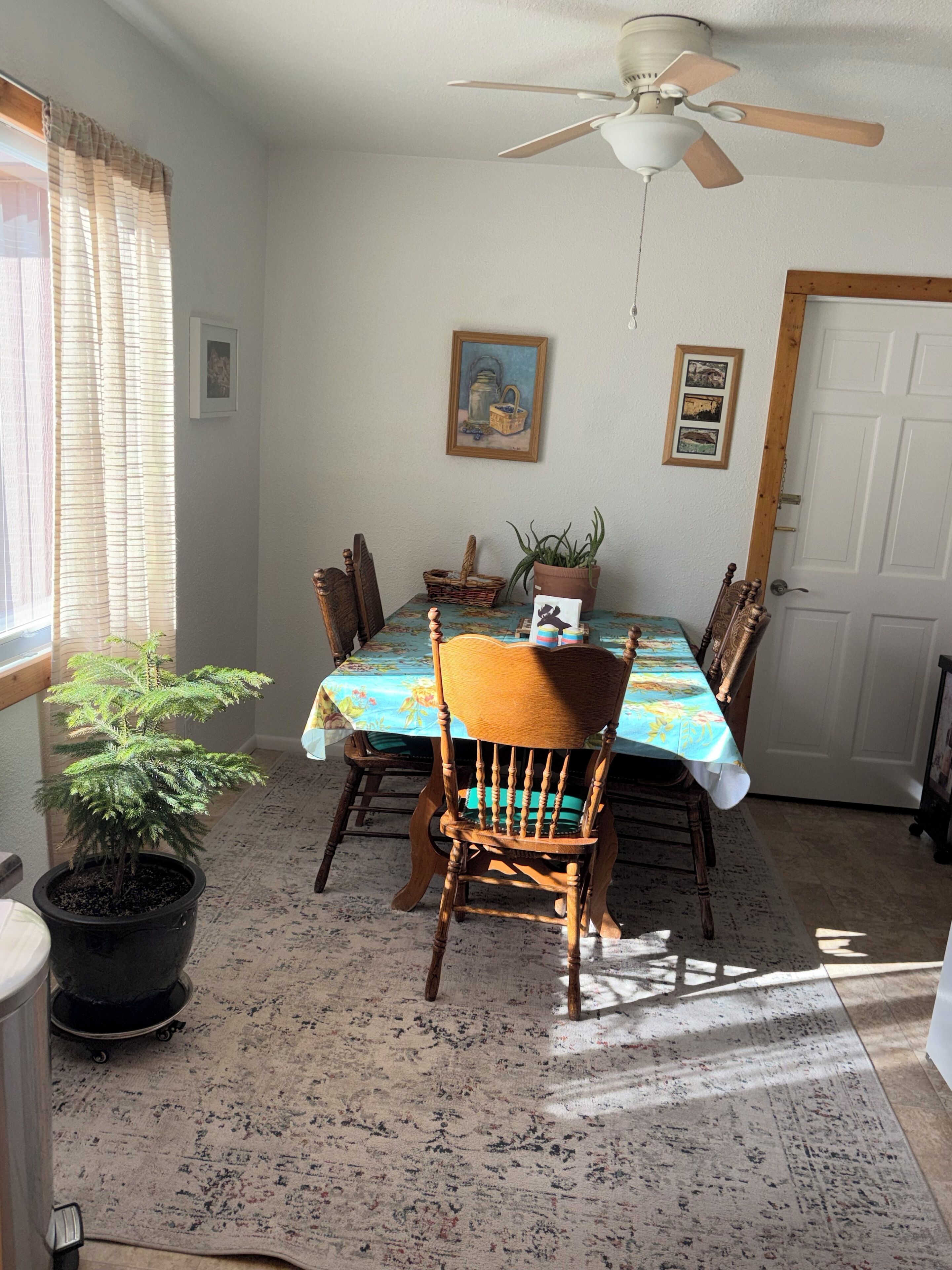 A dining area with a table covered by a floral tablecloth, surrounded by wooden chairs. There is a ceiling fan above, a potted plant to the left, and a door on the right.