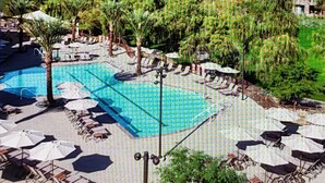 A pool area with lounge chairs and umbrellas, surrounded by palm trees.