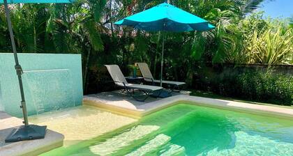 Villa Iguana ,4 bedrooms, pool, includes golf cart, near the beach