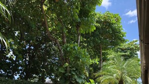Garden - Hotel Savannah (Sardinal)
