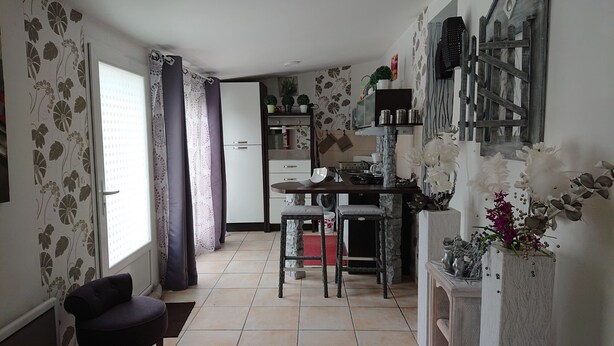 Cocina compacta con comedor, destacando una pared de piedra, una pequeña isla y una planta en maceta.
