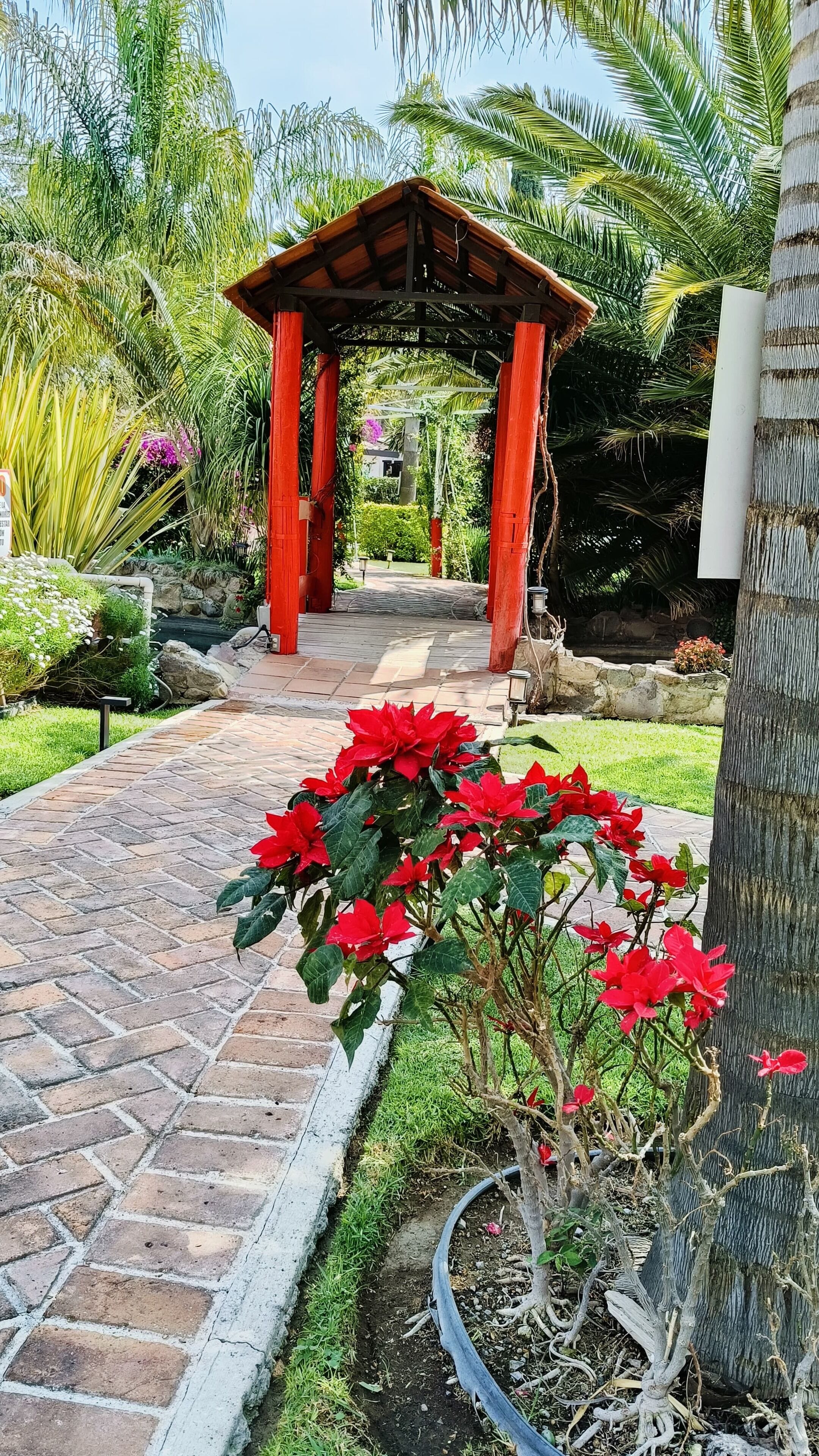 Jardín japonés