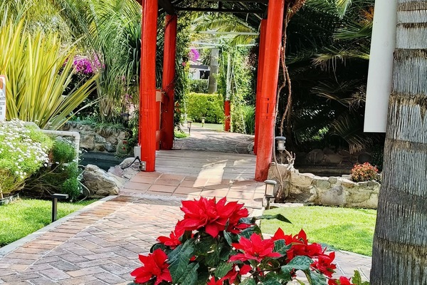 Japanese garden