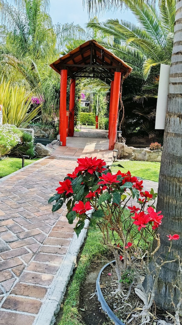 Japanese garden