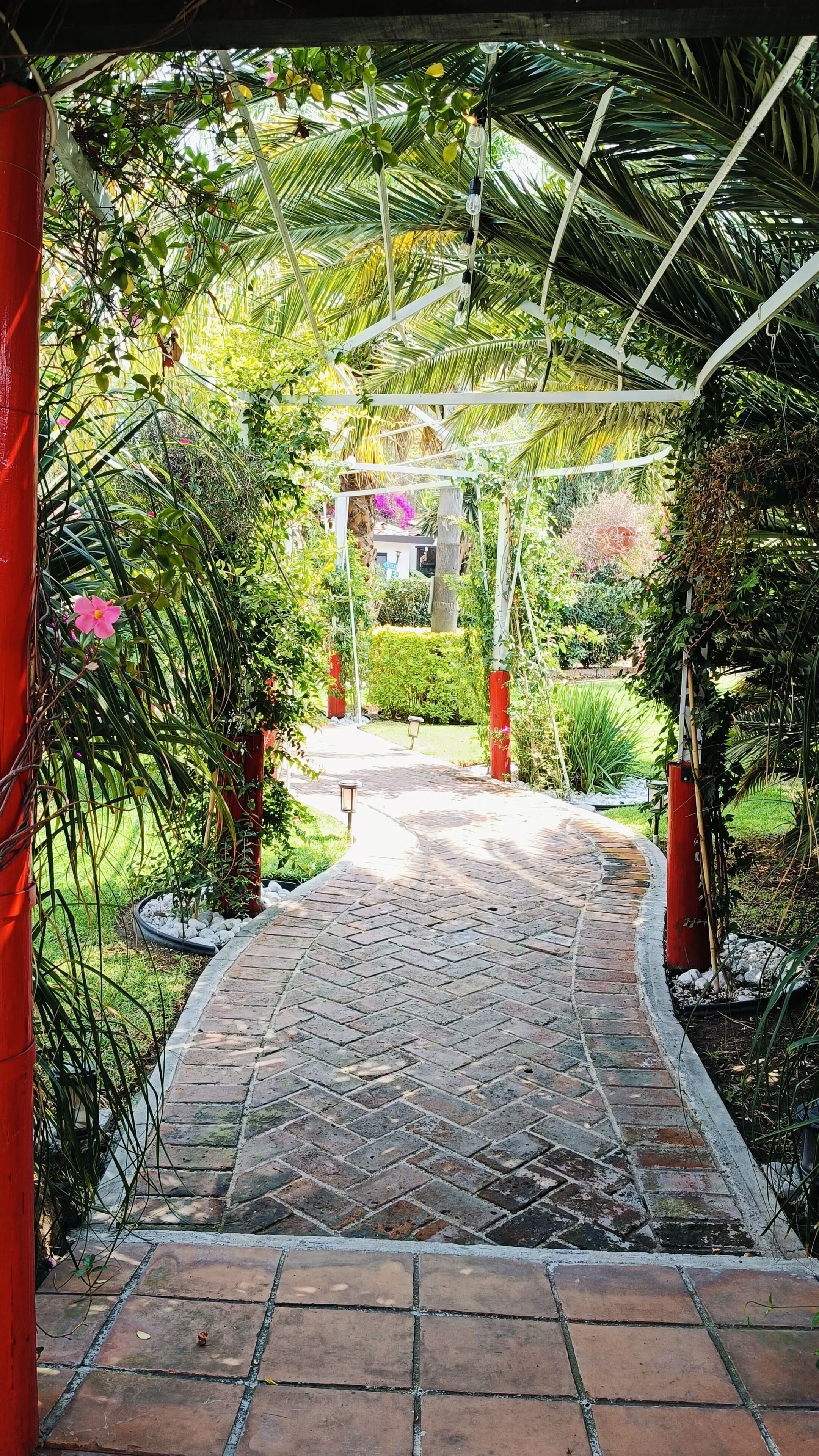 Un chemin pavé de briques traverse un jardin agrémenté d’une pergola.