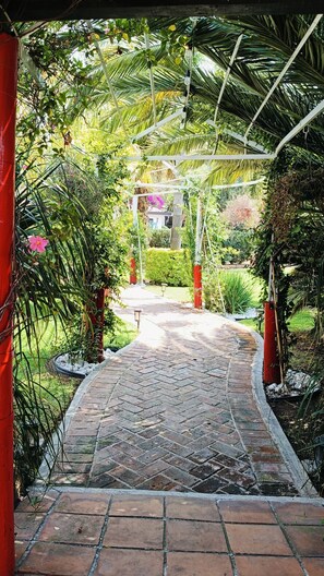 Un chemin pavé de briques traverse un jardin agrémenté d’une pergola.