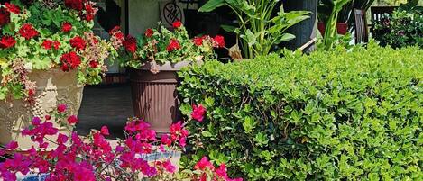 A building with hanging flower pots and potted plants on the ground.