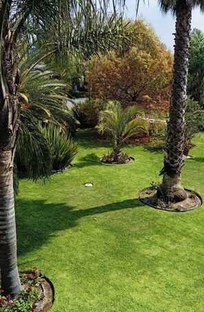 Un jardin bien entretenu, agrémenté de palmiers, d’un petit palmier orné d’un panier décoratif, ainsi que de diverses espèces d’arbustes et d’arbres.