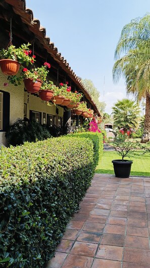 A pathway leading to a building with hanging flower pots and a well-maintained hedge. - Hotel Palmas Teotihuacan (Teotihuacan)
