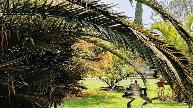 Ein Garten mit Wasserspiel, Palmen und einer Statue.